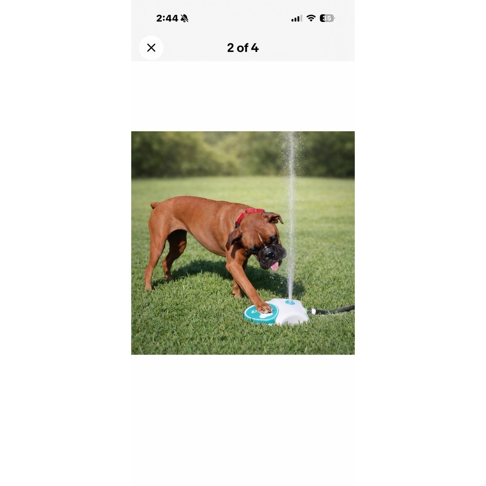 Pet Water Pedal Dog Water Toy - Picture 4 of 5